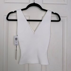 Aritzia Babaton sculpt knit vneck